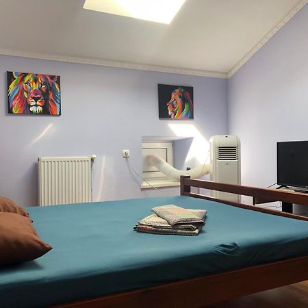 Lions Heart Hostel Lviv Dış mekan fotoğraf